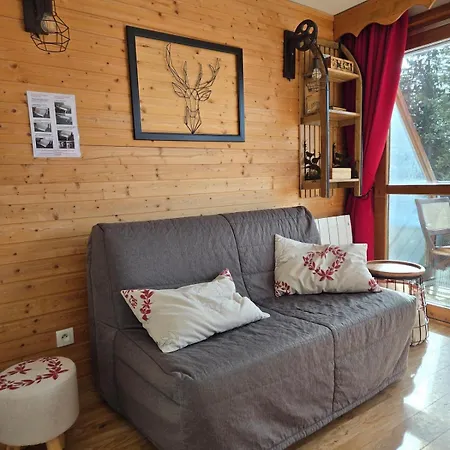 T3 Au Pied Des Pistes