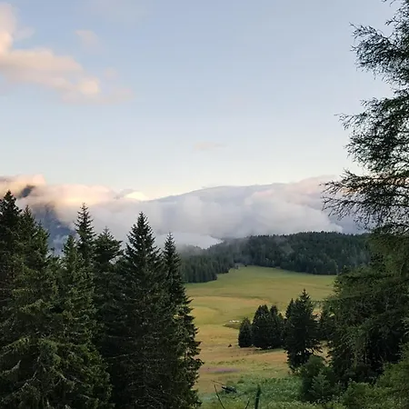 T3 Au Pied Des Pistes